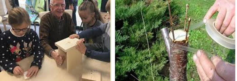 3 personnes participant à l'atelier Nichoir et 1 personne qui effectue une greffe dans un atelier taille des arbres